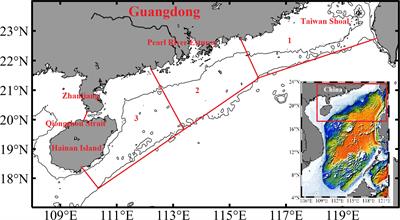 Seasonal variability in spatial patterns of sea surface cold- and warm fronts over the continental shelf of the northern South China Sea